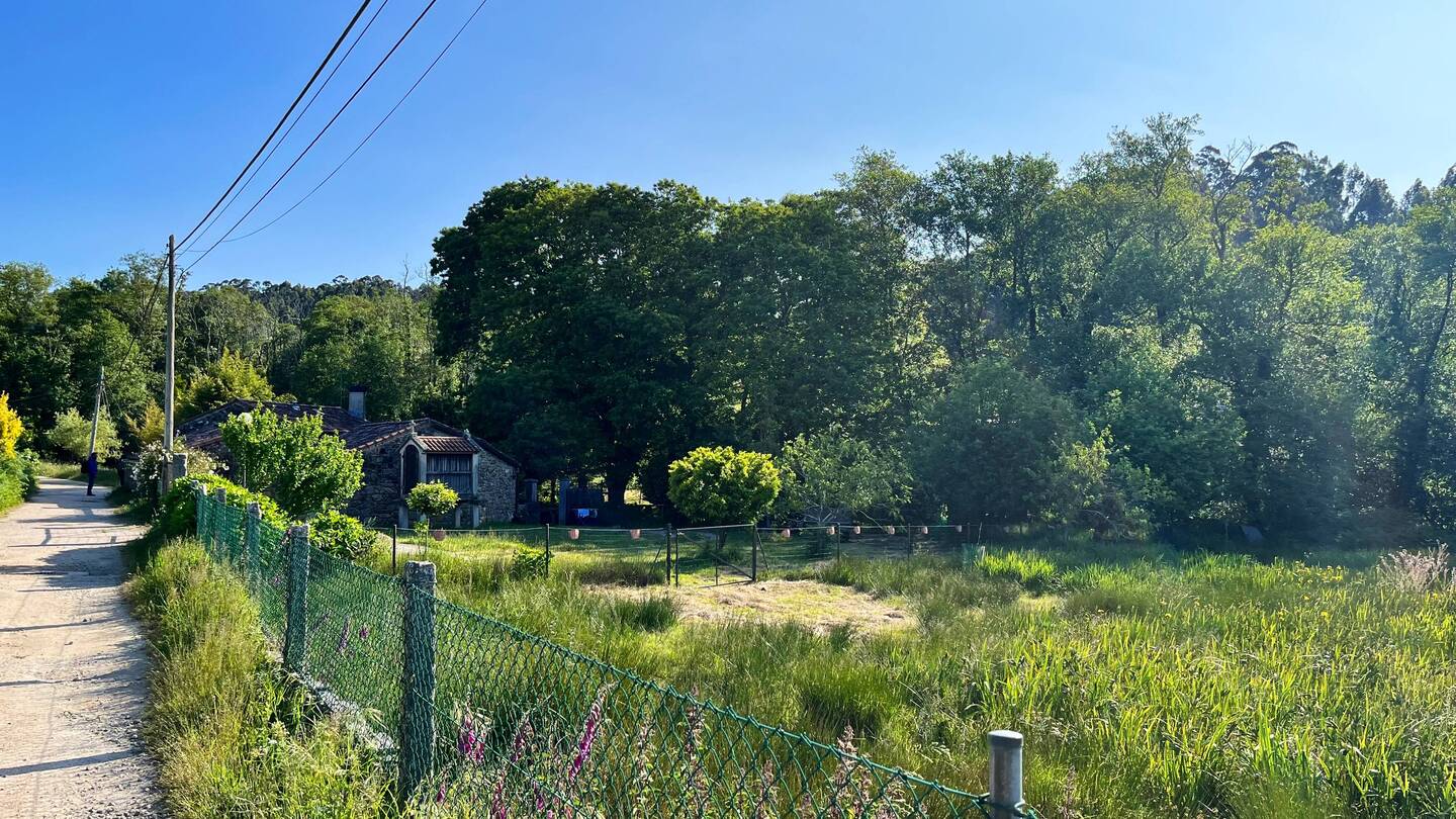 Nice weather starting off