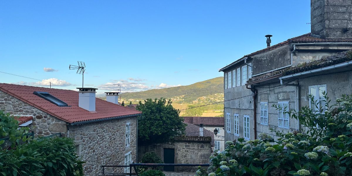 Tui at night! Tui at night!